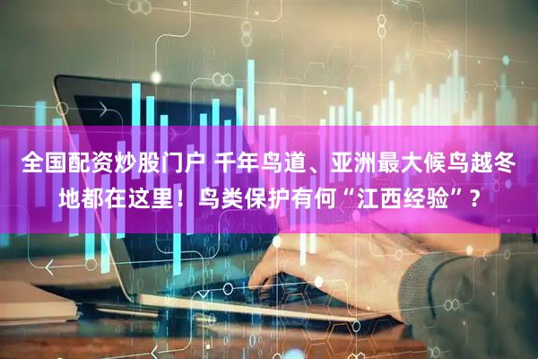 全国配资炒股门户 千年鸟道、亚洲最大候鸟越冬地都在这里！鸟类保护有何“江西经验”？
