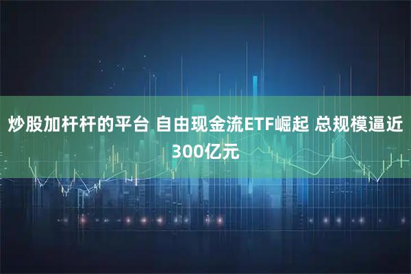 炒股加杆杆的平台 自由现金流ETF崛起 总规模逼近300亿元