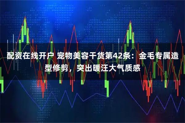 配资在线开户 宠物美容干货第42条：金毛专属造型修剪，突出暖汪大气质感