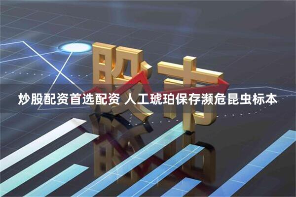 炒股配资首选配资 人工琥珀保存濒危昆虫标本