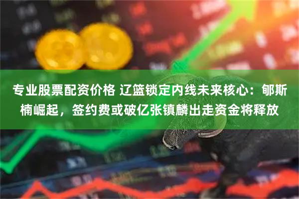 专业股票配资价格 辽篮锁定内线未来核心：郇斯楠崛起，签约费或破亿张镇麟出走资金将释放